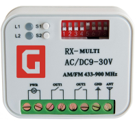 Приемник универсальный внешний 2-канальный Gant RX Multi