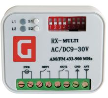 Приемник универсальный внешний 2-канальный Gant RX Multi
